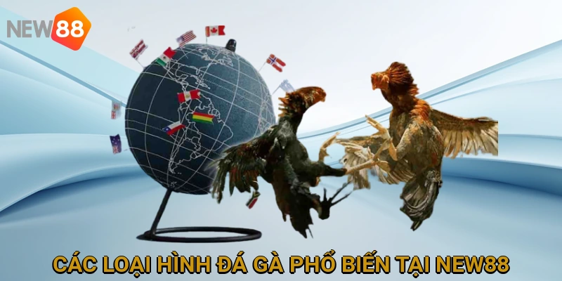 Các loại hình đá gà phổ biến tại NEW88