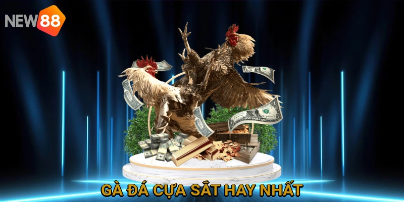 Đá gà cựa sắt hay nhất