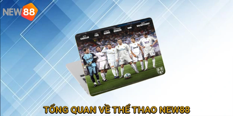 Tổng Quan Về Thể Thao NEW88