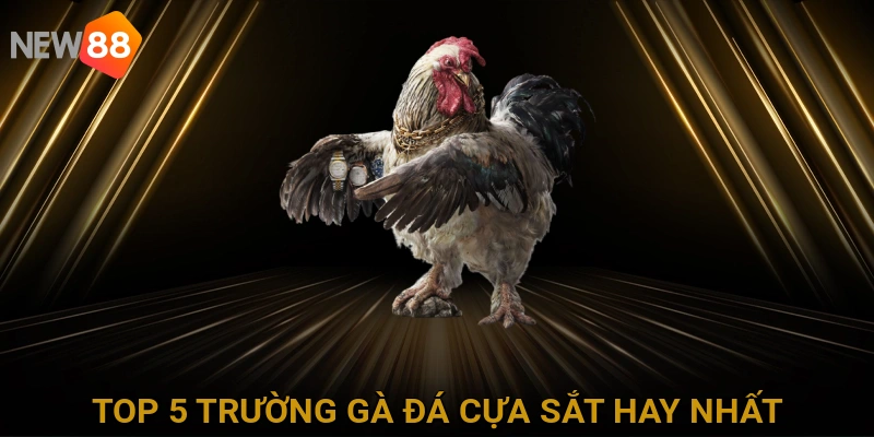 Top 5 Trường Gà Đá Cựa Sắt Hay Nhất và Uy Tín Nhất Hiện Nay