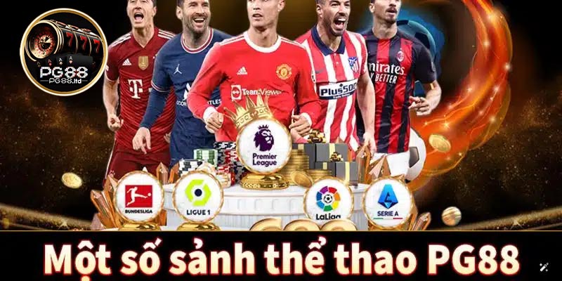 Tổng hợp những sản phẩm cá cược thể thao hot nhất tại PG88
