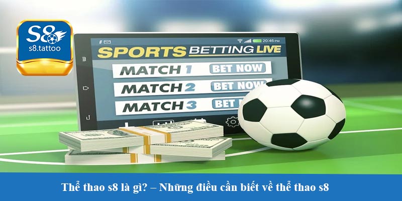 Thể thao s8 là gì? – Những điều cần biết về thể thao s8 và vai trò của nó trong cộng đồng thể thao